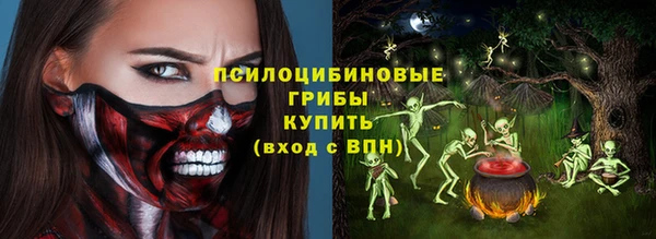 круглые Абаза